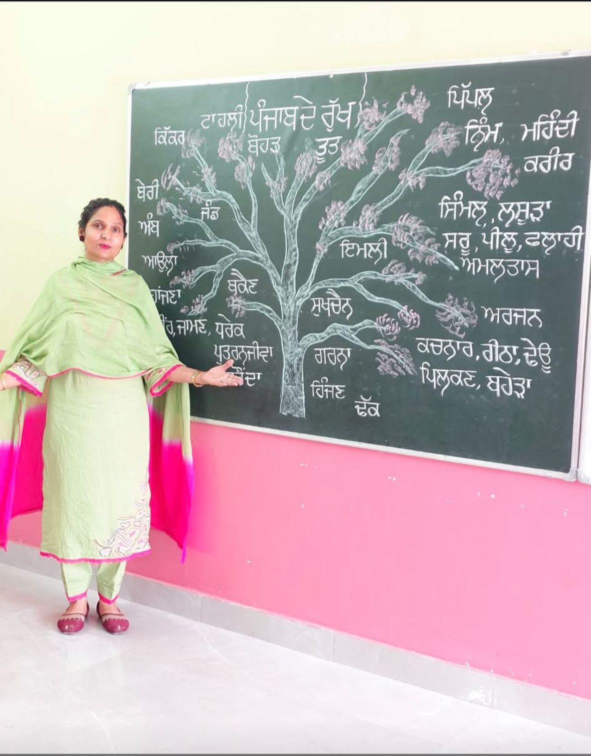 ਮਾਨ ਸਰਕਾਰ ਦੀ ਪ੍ਰੇਰਣਾ ਨਾਲ ਸੋਸ਼ਲ ਮੀਡੀਆ 'ਤੇ ਗੂੰਜੀ ਮਾਂ-ਬੋਲੀ ਪੰਜਾਬੀ—ਅਧਿਆਪਕਾਂ ਦੀ ਮੁਹਿੰਮ ਨੂੰ ਹਜ਼ਾਰਾਂ ਦਾ ਸਾਥ  