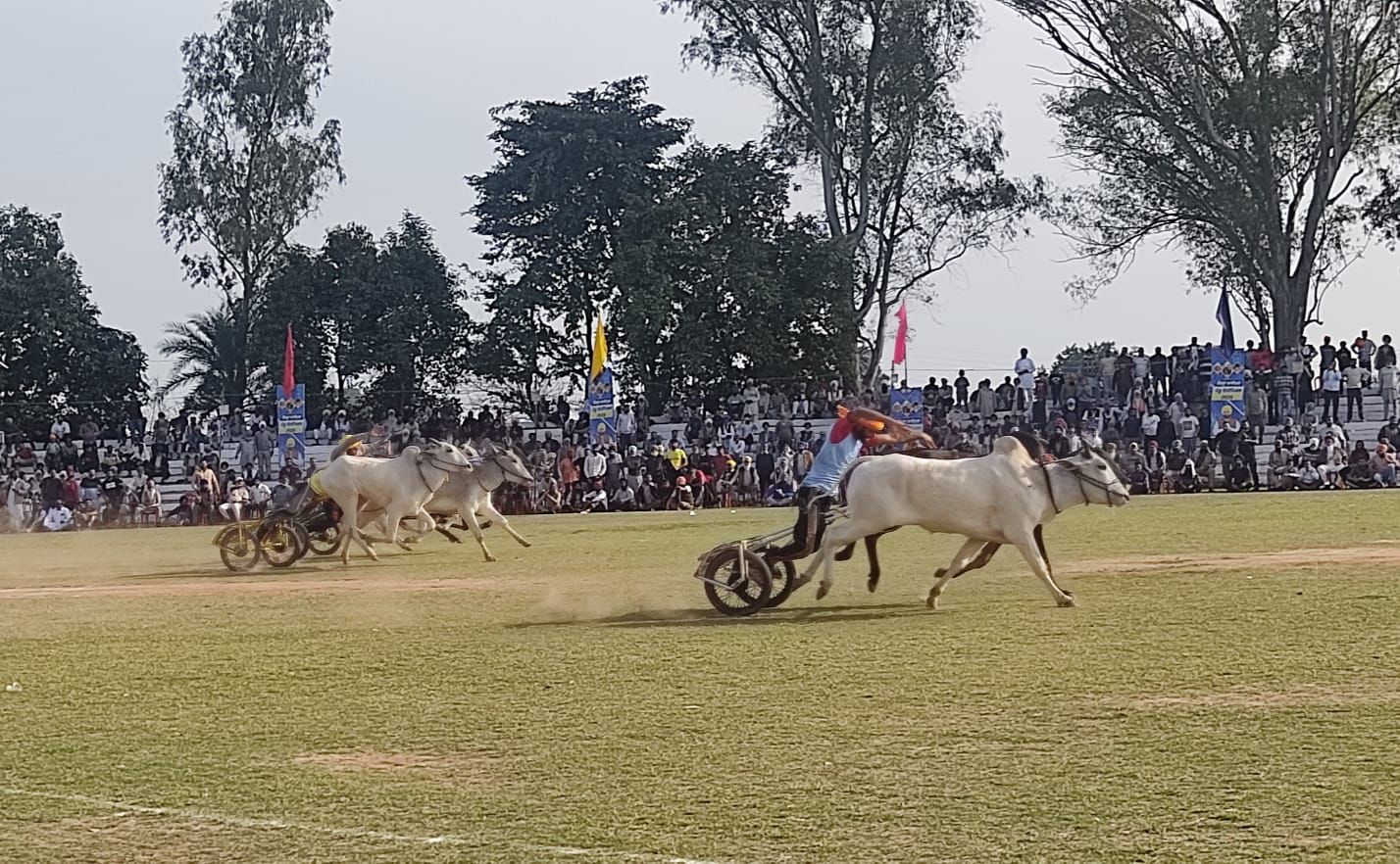 ਕਿਲਾ ਰਾਏਪੁਰ ਪੇਂਡੂ ਓਲੰਪਿਕ 2026 ਦੇ ਦੂਜੇ ਦਿਨ ਬੈਲ ਗੱਡੀਆਂ ਦੀ ਦੌੜ ਨਾਲ ਗੂੰਜਿਆ ਮੈਦਾਨ