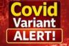 ਅਮਰੀਕਾ ਸਮੇਤ ਦੁਨੀਆ ਦੇ ਕਈ ਦੇਸ਼ਾਂ ਵਿੱਚ ਕੋਵਿਡ-19 ਦਾ ਇੱਕ ਨਵਾਂ ਰੂਪ ਸਾਹਮਣੇ ਆਇਆ ਹੈ