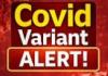 ਅਮਰੀਕਾ ਸਮੇਤ ਦੁਨੀਆ ਦੇ ਕਈ ਦੇਸ਼ਾਂ ਵਿੱਚ ਕੋਵਿਡ-19 ਦਾ ਇੱਕ ਨਵਾਂ ਰੂਪ ਸਾਹਮਣੇ ਆਇਆ ਹੈ