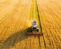 ਪੰਜਾਬ ਵਿੱਚ ਪਰਾਲੀ ਸਾੜਨ ਦੀਆਂ ਘਟਨਾਵਾਂ ਵਿੱਚ 75% ਕਮੀ, ਫਿਰ ਵੀ ਭਾਜਪਾ ਅਤੇ ਦਿੱਲੀ ਸਰਕਾਰ ਦੇ ਨਿਸ਼ਾਨੇ 'ਤੇ ਪੰਜਾਬ ਦਾ ਕਿਸਾਨ ਕਿਉਂ?