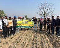 ਕ੍ਰਿਸ਼ੀ ਉੱਨਤੀ ਯੋਜਨਾ ਤਹਿਤ ਸਹਿਕਾਰੀ ਖੰਡ ਮਿੱਲ ਫਾਜ਼ਿਲਕਾ ਵਿਖੇ ਦੋ ਰੋਜ਼ਾ ਕਿਸਾਨ ਸਿਖਲਾਈ ਕੈਂਪ ਲਗਾਇਆ ਗਿਆ