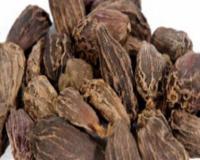 ਮੋਟੀ ਇਲਾਇਚੀ ਦੇ ਕਈ ਸਿਹਤਮੰਦ ਫਾਇਦੇ