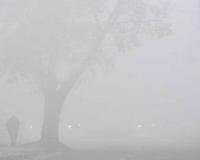  ਚੰਡੀਗੜ੍ਹ ਵਿੱਚ ਠੰਢ ਦੀ ਲਹਿਰ ਤੇਜ਼ ਹੋ ਗਈ ਹੈ,ਦੇਰ ਸ਼ਾਮ ਅਤੇ ਸਵੇਰੇ ਤਾਪਮਾਨ ਵਿੱਚ ਕਾਫ਼ੀ ਗਿਰਾਵਟ ਆਈ 