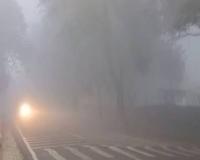 ਹਰਿਆਣਾ ਵਿੱਚ ਸੰਘਣੀ ਧੁੰਦ: ਹਰਿਆਣਾ ਵਿੱਚ ਸੰਘਣੀ ਧੁੰਦ ਕਾਰਨ ਦ੍ਰਿਸ਼ਟਤਾ 10 ਮੀਟਰ ਤੱਕ ਘਟ ਗਈ ਹੈ