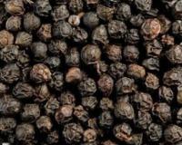 ਕਾਲੀ ਮਿਰਚ ਪਾਉਣ ਨਾਲ ਸਰੀਰ ਨੂੰ ਹੁੰਦੇ ਹਨ ਕਈ ਫਾਇਦੇ