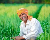 ਹਰਿਆਣਾ ਵਿੱਚ ਇਨ੍ਹਾਂ ਫਸਲਾਂ ਦੀ ਕਾਸ਼ਤ ਲਈ ਇੱਕ ਸਰਕਾਰੀ ਯੋਜਨਾ ਬਣਾਈ ਜਾਵੇਗੀ,ਸੀਐਮ ਸੈਣੀ ਨੇ ਹਰਬਲ ਫੈਡ ਨੂੰ ਦਿੱਤੇ ਨਿਰਦੇਸ਼