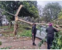 ਪੀ.ਐਸ.ਪੀ.ਸੀ.ਐਲ. ਸਟਾਫ਼ ਬਿਜਲੀ ਸਪਲਾਈ ਦੀ ਬਹਾਲੀ ਲਈ 24 ਘੰਟੇ ਸਰਗਰਮ