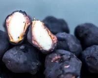 ਸੰਘਾੜੇ ਕੀ ਹਨ?