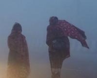  ਹਰਿਆਣਾ ਵਿੱਚ ਠੰਢ ਦੀ ਲਹਿਰ ਜਾਰੀ,ਮੌਸਮ ਵਿਭਾਗ ਨੇ ਅੱਜ ਪੀਲੇ ਧੁੰਦ ਦੀ ਚੇਤਾਵਨੀ ਜਾਰੀ ਕੀਤੀ 