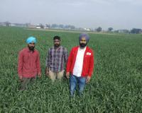 ਕਿਸਾਨ ਵਧ ਰਹੇ ਤਾਪਮਾਨ ਦੇ ਪ੍ਰਭਾਵ ਨੂੰ ਘਟਾਉਣ ਅਤੇ ਮੌਸਮ ਦੇ ਆਧਾਰ 'ਤੇ ਆਪਣੀਆਂ ਫ਼ਸਲਾਂ ਦੀ ਸਿੰਚਾਈ ਕਰਨ - ਡਾ. ਭੁਪਿੰਦਰ ਸਿੰਘ