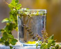 ਸਵੇਰੇ-ਸਵੇਰੇ ਤੁਲਸੀ ਦਾ ਪਾਣੀ ਪੀਣਾ ਸਕਿਨ ਲਈ ਸਿਹਤਮੰਦ