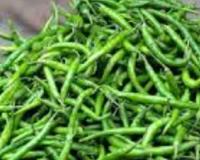 ਭੋਜਨ ਨਾਲ ਹਰੀ ਮਿਰਚ ਖਾਣ ਨਾਲ ਸਿਹਤ ਨੂੰ ਕਈ ਗਜ਼ਬ ਫਾਇਦੇ ਮਿਲਦੇ ਹਨ