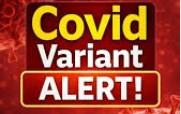 ਅਮਰੀਕਾ ਸਮੇਤ ਦੁਨੀਆ ਦੇ ਕਈ ਦੇਸ਼ਾਂ ਵਿੱਚ ਕੋਵਿਡ-19 ਦਾ ਇੱਕ ਨਵਾਂ ਰੂਪ ਸਾਹਮਣੇ ਆਇਆ ਹੈ