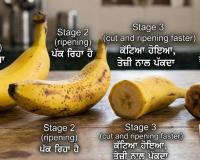 ਕੇਲਾ ਇੱਕ ਅਜਿਹਾ ਫਲ ਹੈ ਜੋ ਕੱਟਣ ਤੋਂ ਬਾਅਦ ਜਾਂ ਘਰ ਲਿਆਉਣ ਤੋਂ ਬਾਅਦ ਬਹੁਤ ਤੇਜ਼ੀ ਨਾਲ ਪੱਕਦਾ ਹੈ