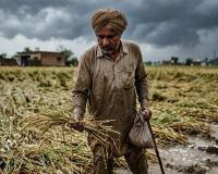 ਪੰਜਾਬ ਦੇ ਕਿਸਾਨਾਂ ਲਈ ਮਾਰਚ ਦਾ ਇਹ ਮਹੀਨਾ ਕਾਫੀ ਚੁਣੌਤੀਪੂਰਨ ਸਾਬਤ ਹੋ ਰਿਹਾ ਹੈ