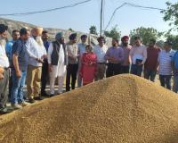 ਪੰਜਾਬ ਸਰਕਾਰ ਕਣਕ ਦਾ ਇਕ-ਇਕ ਦਾਣਾ ਖਰੀਦਣ ਲਈ ਵਚਨਬੱਧ : ਹਲਕਾ ਵਿਧਾਇਕ ਬਲਕਾਰ ਸਿੰਘ 