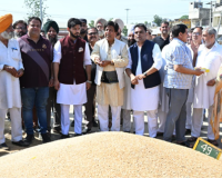 ਵਿਧਾਇਕ ਬ੍ਰਮ ਸ਼ੰਕਰ ਜਿੰਪਾ ਅਤੇ ਇਸ਼ਾਂਕ ਕੁਮਾਰ ਨੇ ਦਾਣਾ ਮੰਡੀ ‘ਚ ਸ਼ੁਰੂ ਕਰਵਾਈ ਕਣਕ ਦੀ ਖਰੀਦ