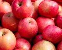 Health Tips: ਸੇਬ ਨਾਲੋਂ ਵੀ ਵੱਧ ਫਾਈਬਰ ਤੇ ਕੈਲਸ਼ੀਅਮ ਦਿੰਦੇ ਹਨ ਇਹ 5 ਫਲ