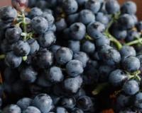 ਕਾਲੇ ਅੰਗੂਰ ਸਿਰਫ਼ ਸਵਾਦ ਵਿੱਚ ਹੀ ਲਾਜ਼ਵਾਬ ਨਹੀਂ ਹੁੰਦੇ,ਸਗੋਂ ਇਹ ਸਿਹਤ ਦਾ ਖ਼ਜ਼ਾਨਾ ਵੀ ਹਨ