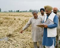  ਮੁੱਖ ਮੰਤਰੀ ਭਗਵੰਤ ਮਾਨ ਨੇ ਸੂਬੇ ’ਚ ਬੇਮੌਸਮੀ ਮੀਂਹ, ਤੇਜ਼ ਹਵਾਵਾਂ ਅਤੇ ਗੜੇਮਾਰੀ ਕਾਰਨ ਕਣਕ ਦੀ ਪੱਕੀ ਫ਼ਸਲ ਦੇ ਹੋਏ ਨੁਕਸਾਨ ਦੇ ਜਾਇਜ਼ੇ ਲਈ ਵਿਸ਼ੇਸ਼ ਗਿਰਦਾਵਰੀ ਦੇ ਹੁਕਮ ਜਾਰੀ ਕੀਤੇ ਹਨ