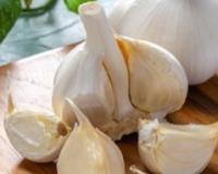 ਲਸਣ ਸਾਡੀ ਰਸੋਈ ਦਾ ਇੱਕ ਅਹਿਮ ਹਿੱਸਾ 