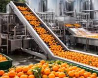 ਹਰਿਆਣਾ ਦੇ ਇਸ ਜ਼ਿਲ੍ਹੇ ਵਿੱਚ ਕਿੰਨੂ ਜੂਸ ਪਲਾਂਟ ਸਥਾਪਤ ਕੀਤਾ ਜਾਵੇਗਾ