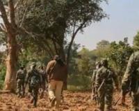 ਓਡੀਸ਼ਾ-ਝਾਰਖੰਡ ਬਾਰਡਰ 'ਤੇ ਨਕਸਲੀਆਂ ਦੀ ਸਾਜ਼ਿਸ਼,ਇੱਕ ਹੋਰ ਨਕਸਲੀ ਸਾਜ਼ਿਸ਼ ਦਾ ਪਰਦਾਫਾਸ਼ ਹੋਇਆ ਹੈ, IED ਧਮਾਕੇ ਵਿੱਚ ਕੋਬਰਾ ਜਵਾਨ ਜ਼ਖਮੀ