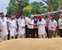 ਵਿਧਾਇਕ ਜਸਵੀਰ ਸਿੰਘ ਰਾਜਾ ਗਿੱਲ ਸਮੇਤ ਕੀਤਾ ਟਾਂਡਾ ਮੰਡੀ ਦਾ ਦੌਰਾ