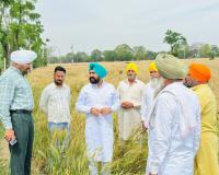  ਵਿਧਾਇਕ ਗੁਰਪ੍ਰੀਤ ਸਿੰਘ ਬਣਾਂਵਾਲੀ ਵੱਲੋਂ ਸਰਦੂਲਗੜ੍ਹ ਦੇ ਗੜੇਮਾਰੀ ਪ੍ਰਭਾਵਿਤ ਪਿੰਡਾਂ ਦਾ ਦੌਰਾ