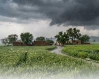 ਅੱਜ ਹਰਿਆਣਾ ਵਿੱਚ ਮੀਂਹ,ਗਰਜ ਅਤੇ ਗੜੇਮਾਰੀ ਦੀ ਸੰਭਾਵਨਾ ਹੈ,ਸਾਰੇ ਜ਼ਿਲ੍ਹਿਆਂ ਲਈ ਪੀਲਾ ਅਲਰਟ ਜਾਰੀ ਕੀਤਾ ਗਿਆ ਹੈ 