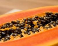  ਪਪੀਤੇ ਦੇ ਬੀਜ ਤਾਂ ਜਾਣੋ ਇਸ ਦੇ ਫਾਇਦੇ, ਸਿਹਤ ਲਈ ਹਨ ਵਰਦਾਨ