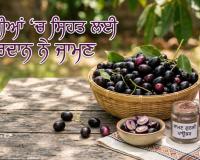 ਗਰਮੀਆਂ ‘ਚ ਸਿਹਤ ਲਈ ਵਰਦਾਨ ਨੇ ਜਾਮਣ