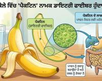 ਕੇਲੇ ਵਿੱਚ 'ਪੈਕਟਿਨ' ਨਾਮਕ ਡਾਇਟਰੀ ਫਾਈਬਰ ਹੁੰਦਾ ਹੈ