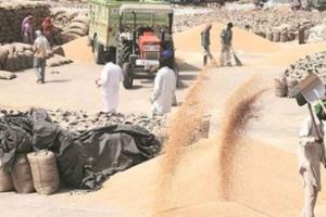 ਕਣਕ ਦਾ ਭਾਅ ਵਧਾਉਣ ਲਈ ਪੰਜਾਬ ਸਰਕਾਰ ਦਾ ਕੇਂਦਰ ਨੂੰ ਪੱਤਰ