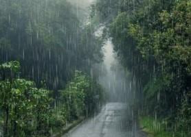 ਪੰਜਾਬ ਵਿੱਚ ਆਉਣ ਵਾਲੇ ਦਿਨਾਂ 'ਚ ਮੀਂਹ ਅਤੇ ਤੂਫਾਨ ਨੂੰ ਲੈ ਕੇ ਅਲਰਟ ਜਾਰੀ 