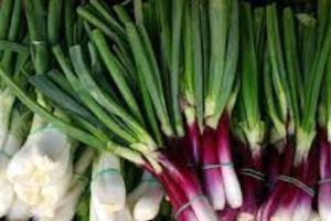 ਸਰੀਰ ਲਈ ਬਹੁਤ ਫ਼ਾਇਦੇਮੰਦ ਹੈ ‘ਹਰਾ ਪਿਆਜ਼’