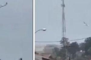 ਬ੍ਰਾਜ਼ੀਲ 'ਚ 62 ਲੋਕਾਂ ਨੂੰ ਲੈ ਕੇ ਜਾ ਰਿਹਾ ਜਹਾਜ਼ ਕ੍ਰੈਸ਼