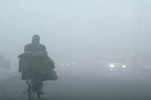 Punjab Haryana Cold Weather: ਪੰਜਾਬ-ਚੰਡੀਗੜ੍ਹ 'ਚ ਸੀਤ ਲਹਿਰ ਤੋਂ ਨਹੀਂ ਮਿਲੇਗੀ ਰਾਹਤ