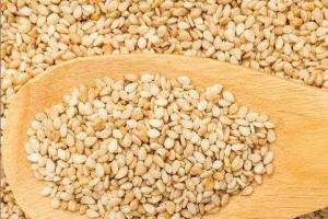 ਤਿਲਾਂ ਦਾ ਸੇਵਨ ਤੁਹਾਨੂੰ ਰੱਖਦਾ ਹੈ ਤੰਦਰੁਸਤ