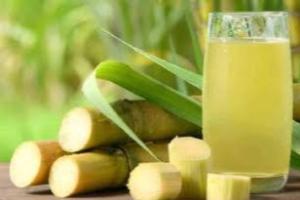 ਗੰਨੇ ਦਾ ਰਸ ਸਿਹਤ ਲਈ ਬਹੁਤ ਫ਼ਾਇਦੇਮੰਦ ਹੁੰਦਾ ਹੈ