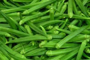 ਭਿੰਡੀ ਦੇ ਨਾਲ ਨਾ ਕਰੋ ਇਹਨਾਂ ਚੀਜ਼ਾਂ ਦਾ ਸੇਵਨ,ਹੋ ਸਕਦਾ ਹੈ ਵੱਡਾ ਨੁਕਸਾਨ