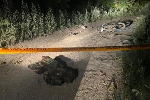 ਐਸਟੀਐਫ ਨੇ ਦਿੱਲੀ ਪੁਲਿਸ ਦੇ ਸਪੈਸ਼ਲ ਸੈੱਲ ਦੇ ਸਹਿਯੋਗ ਨਾਲ ਲਾਰੈਂਸ ਬਿਸ਼ਨੋਈ ਗੈਂਗ ਦੇ ਇੱਕ ਸ਼ੂਟਰ ਨੂੰ ਮੁਕਾਬਲੇ ਵਿੱਚ ਮਾਰ ਦਿੱਤਾ