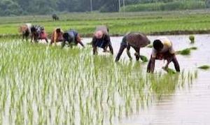 ਕੇਂਦਰ ਸਰਕਾਰ ਦੀ ਪ੍ਰਧਾਨ ਮੰਤਰੀ ਕਿਸਾਨ ਸਨਮਾਨ ਨਿਧੀ ਦੀ 20ਵੀਂ ਕਿਸ਼ਤ ਇਸ ਮਹੀਨੇ ਜਾਰੀ ਹੋਣ ਦੀ ਉਮੀਦ