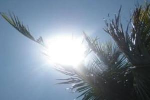 ਪੰਜਾਬ ਵਿੱਚ ਆਉਣ ਵਾਲੇ ਦਿਨਾਂ ਵਿੱਚ ਗਰਮੀ ਦੀ ਲਹਿਰ ਤੇਜ਼ ਹੋ ਸਕਦੀ ਹੈ