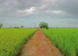  ਪਠਾਨਕੋਟ, ਹੁਸ਼ਿਆਰਪੁਰ ਅਤੇ ਰੂਪਨਗਰ ਵਿੱਚ ਮੀਂਹ ਸਬੰਧੀ ਪੀਲਾ ਅਲਰਟ ਜਾਰੀ ਕੀਤਾ 