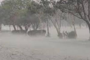 ਪੰਜਾਬ ਦੇ 7 ਜ਼ਿਲ੍ਹਿਆਂ ਵਿੱਚ ਤੇਜ਼ ਹਵਾਵਾਂ ਦੇ ਨਾਲ ਭਾਰੀ ਤੋਂ ਬਹੁਤ ਭਾਰੀ ਮੀਂਹ ਪੈਣ ਦੀ ਚਿਤਾਵਨੀ