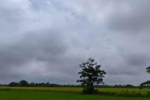 Weather Update Punjab: ਪੰਜਾਬ ਵਿੱਚ 15 ਅਗਸਤ ਤੱਕ ਯੈਲੋ ਅਲਰਟ ਜਾਰੀ ਕੀਤਾ 