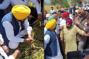 ਮੁੱਖ ਮੰਤਰੀ ਮਾਨ ਦਾ ਵਾਅਦਾ! ਵਿਸ਼ੇਸ਼ ਗਿਰਦਾਵਰੀ ਨਾਲ ਮਿਲੇਗਾ ਹਰ ਕਿਸਾਨ ਨੂੰ ਨੁਕਸਾਨ ਦਾ ਮੁਆਵਜ਼ਾ