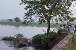 ਸਿਰਸਾ ਵਿੱਚ ਘੱਗਰ ਨਦੀ ਨੇ ਤਬਾਹੀ ਮਚਾ ਦਿੱਤੀ ਹੈ